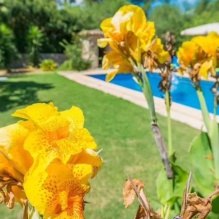 Casa Alba
